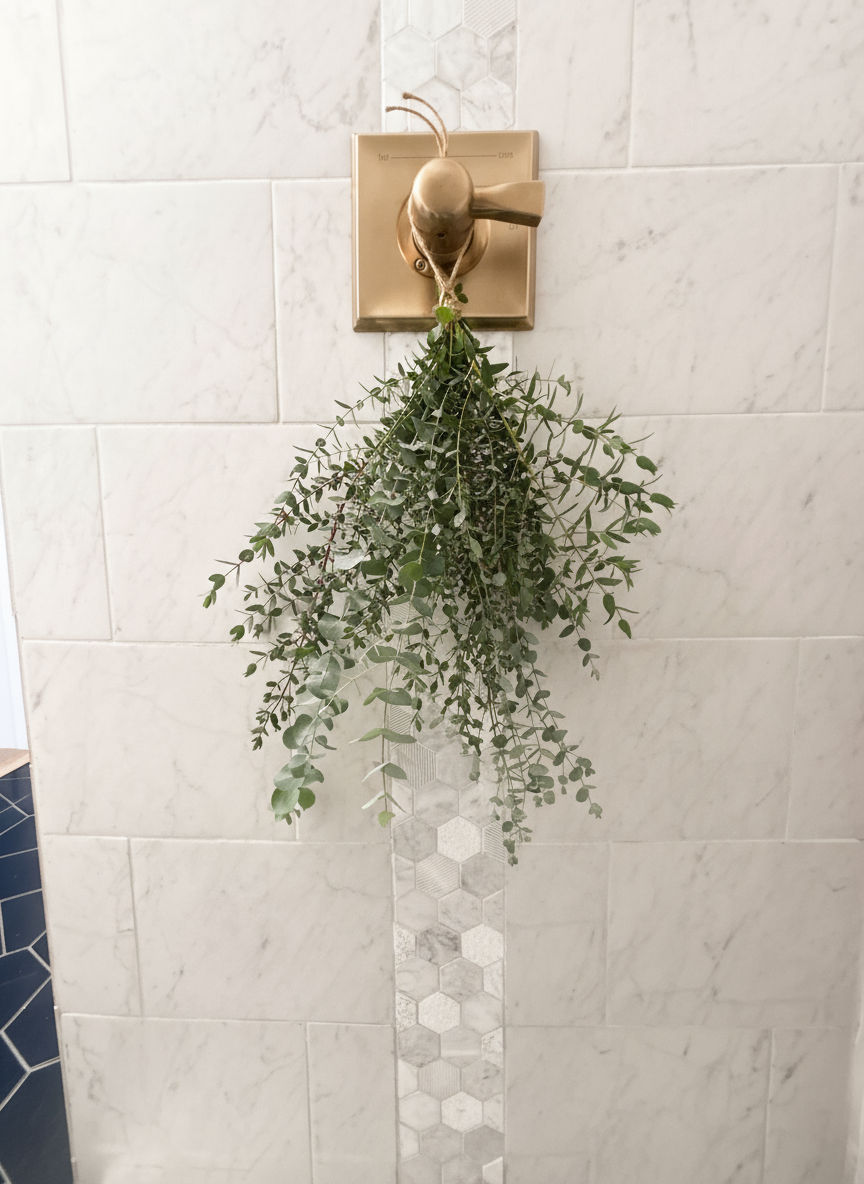 Eucalyptus Shower Bundle