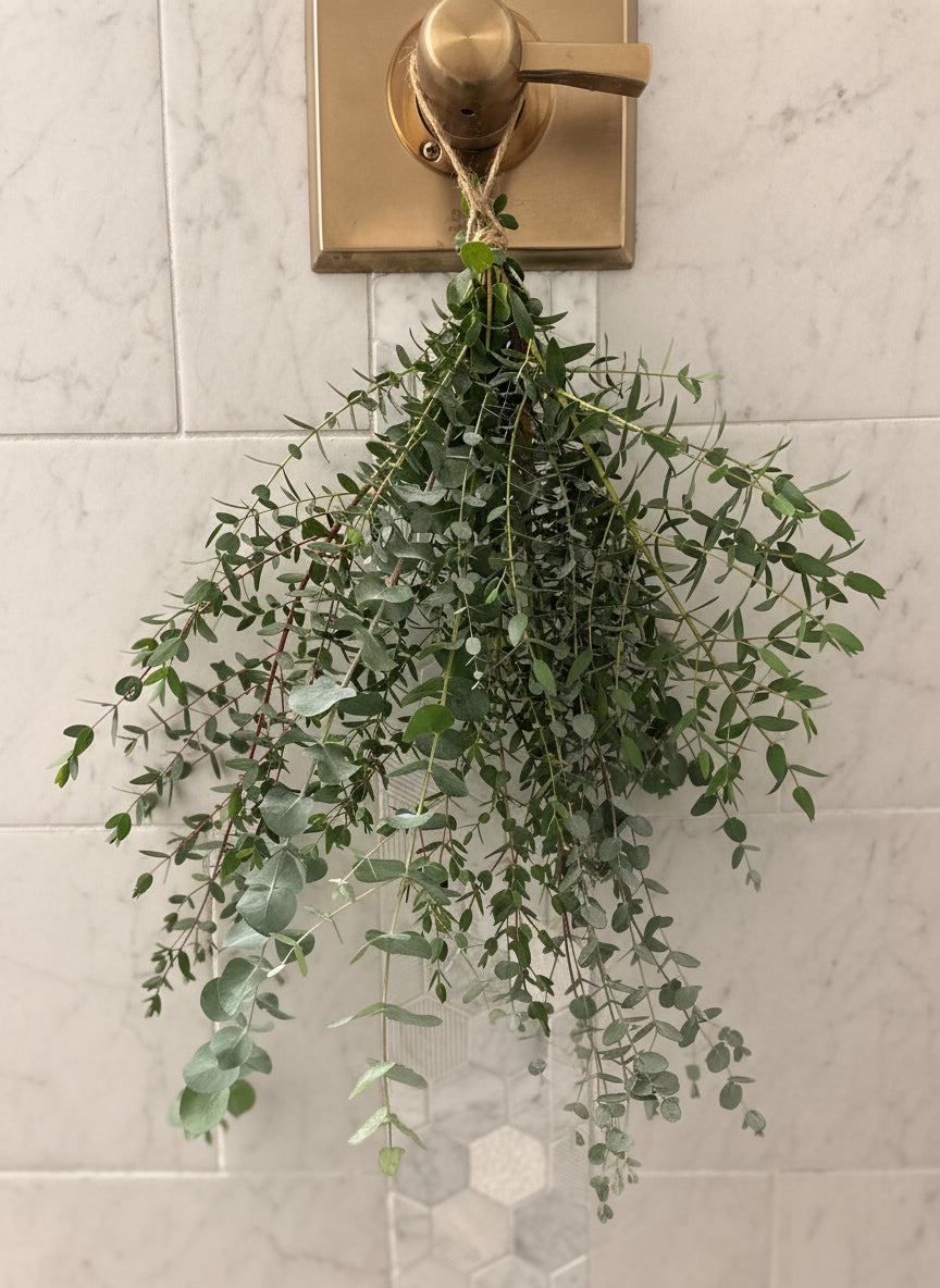 Eucalyptus Shower Bundle