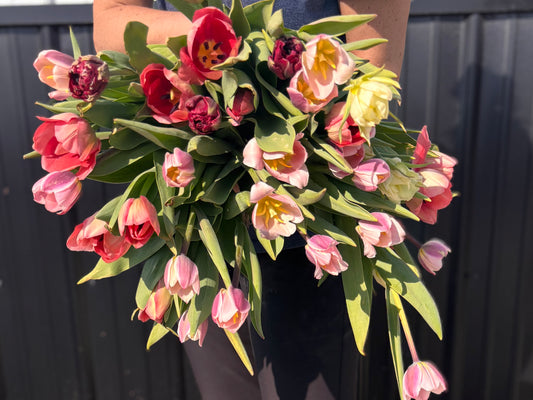 Simple Spring Tulips