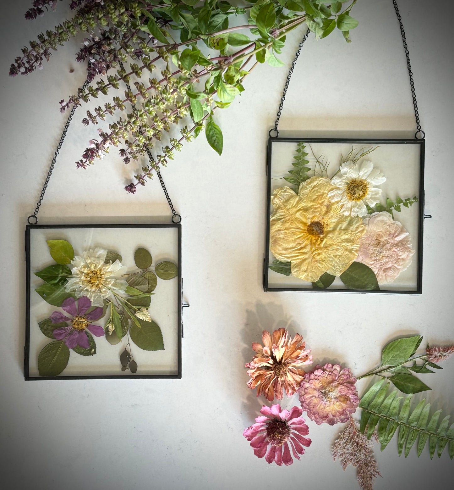 Pressed Flower Workshop 8/12 @ 6pm